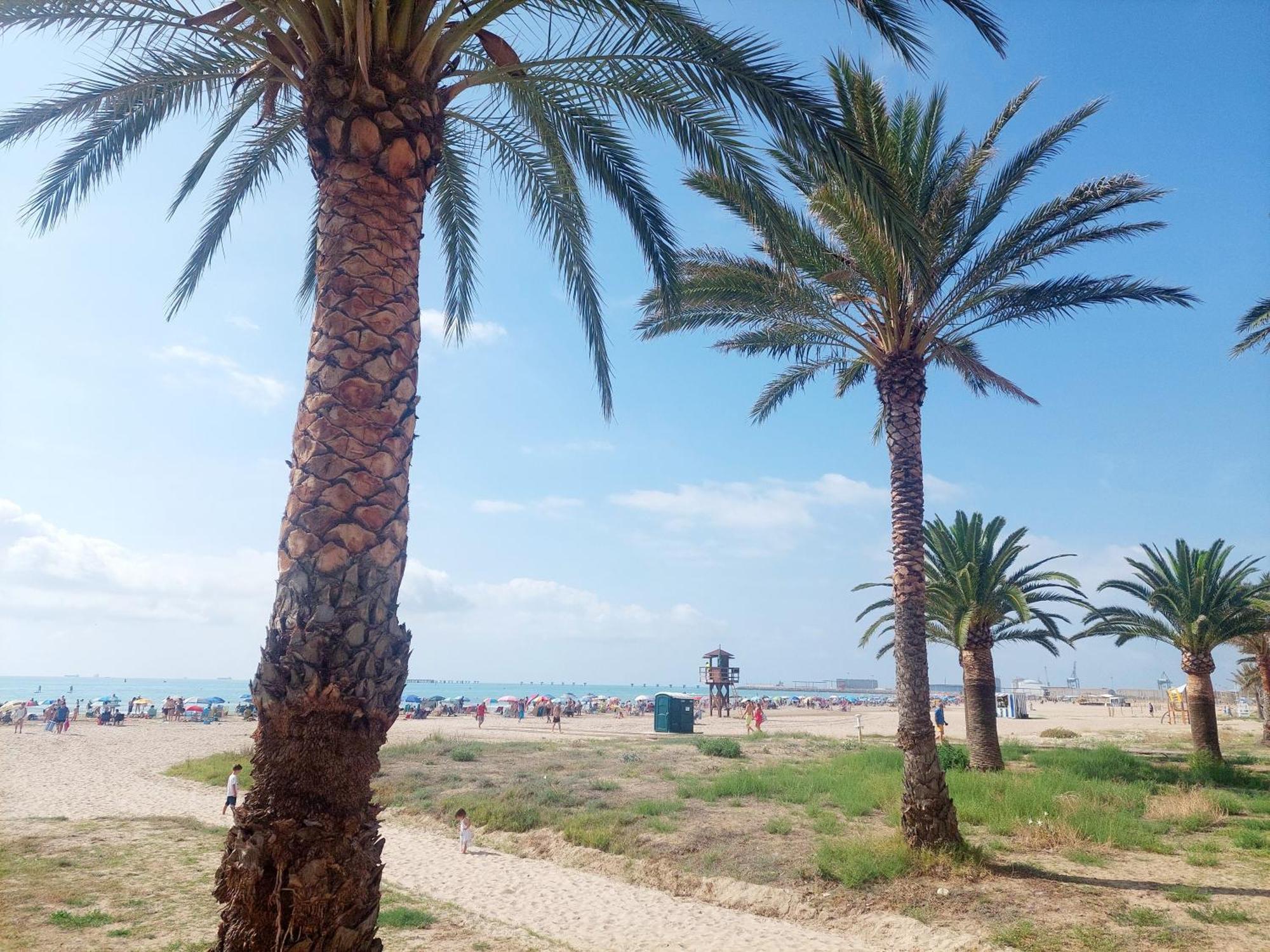 Cozy Near The Sagunto